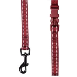 3M Reflective Dog Leash For Night Safety And Visibility -Dog & Cat Store 1050109046 3