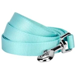 Classic Solid Color Dog Leash, Blue For Everyday Use 22 Classic Solid Color Dog Leash, Blue For Everyday Use -Dog & Cat Store 1050110028 1 36b7e829 4a21 46d6 8656 8cea2b234fb6