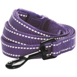 3M Reflective Dog Leash For Night Safety And Visibility -Dog & Cat Store 1050115047 1