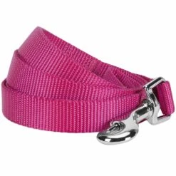 Classic Solid Color Dog Leash, Purple For Stylish Walks -Dog & Cat Store 1050117027 1
