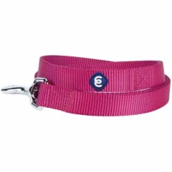 Classic Solid Color Dog Leash, Purple For Stylish Walks -Dog & Cat Store 1050117027 2