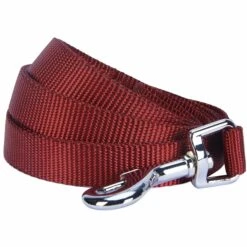 Classic Solid Color Dog Leash, Fired Brick For Pets