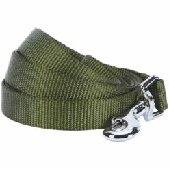 Classic Solid Color Dog Leash, Green For Stylish Walks -Dog & Cat Store 1050119021 1 90c8e478 a44a 49f2 8f2b 9cce066fd082