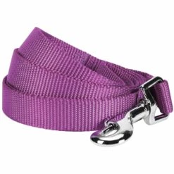 Classic Solid Color Dog Leash, Purple For Stylish Walks -Dog & Cat Store 1050123028 1 15f3e38d 164e 431c acec 0893ed2478f8