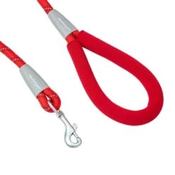 Neoprene Handle Rope Leash In Diagonal Stripe, 4 Ft Long 23 Neoprene Handle Rope Leash In Diagonal Stripe, 4 Ft Long -Dog & Cat Store 1050213064 2 c1bccfac 648a 4b98 97f6 62c194e1580e