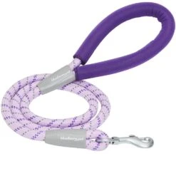 Neoprene Handle Rope Leash In Diagonal Stripe, 4 Ft Long 17 Neoprene Handle Rope Leash In Diagonal Stripe, 4 Ft Long -Dog & Cat Store 1050215068 1 4b7c6bc2 6aed 4e25 adb2 0c41875c24d4