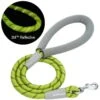 3M Reflective Dog Rope Leash With Neoprene Handle Lime Green 4 Ft 16 3M Reflective Dog Rope Leash With Neoprene Handle Lime Green 4 Ft -Dog & Cat Store 1050223063 1 8d4c9b70 3fd3 42cf b767 30d86c189154