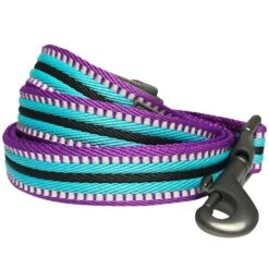 3M Reflective Dog Leash With Neoprene Padded Handle