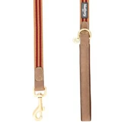 Full Grain Leather & Polyester Dog Leash For Durability 7 Full Grain Leather & Polyester Dog Leash For Durability -Dog & Cat Store 1050400020 3 9606f860 d658 4cc6 b594 bcc8c468fa46