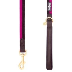 Full Grain Leather & Polyester Dog Leash For Comfort And Style -Dog & Cat Store 1050405025 3 0d0b46fc b91a 4962 967d 92d73c68c272