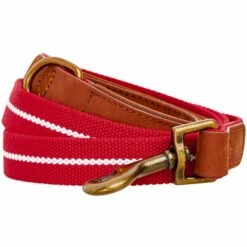 Full Grain Leather & Polyester Dog Leash For Comfort And Style -Dog & Cat Store 1050407029 1 d27c9ec7 86ef 464d 8ab7 085a16708a02