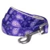 Stylish Paisley Print Dog Leash For Fashionable Pets -Dog & Cat Store 1050592046 1