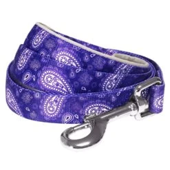 Stylish Paisley Print Dog Leash For Fashionable Pets