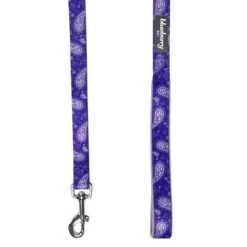 Stylish Paisley Print Dog Leash For Fashionable Pets -Dog & Cat Store 1050592046 3