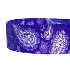 Stylish Paisley Print Dog Leash For Fashionable Pets -Dog & Cat Store 1050592046 4