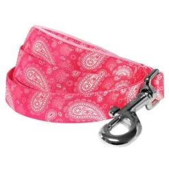Stylish Paisley Print Dog Leash For Fashionable Walks
