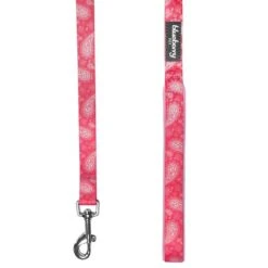 Stylish Paisley Print Dog Leash For Fashionable Walks -Dog & Cat Store 1050593043 3 ca37d07f 0515 449e 9238 06d5f56e8aff