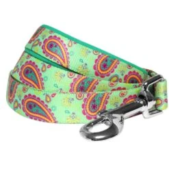 Stylish Paisley Print Dog Leash For Fashionable Pets -Dog & Cat Store 1050594040 1