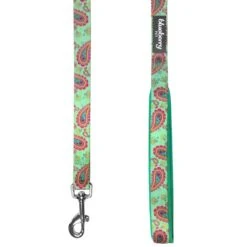 Stylish Paisley Print Dog Leash For Fashionable Pets -Dog & Cat Store 1050594040 3