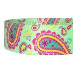 Stylish Paisley Print Dog Leash For Fashionable Pets -Dog & Cat Store 1050594040 4