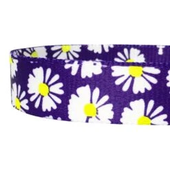 Flower Print Girly Dog Leash For Stylish Pet Walks -Dog & Cat Store 1050596044 4 f7ba46fc f7ea 46ce baf3 ff50499a2853