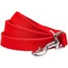 Dogs & Cats & Co. | Classic Chic Solid Dog Leash 4 Feet 12 Dogs & Cats & Co. | Classic Chic Solid Dog Leash 4 Feet -Dog & Cat Store 1050700045 1