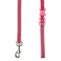 Dogs & Cats & Co. In The Night Dog Leash For Safety 26 Dogs & Cats & Co. In The Night Dog Leash For Safety -Dog & Cat Store 1050732046 3