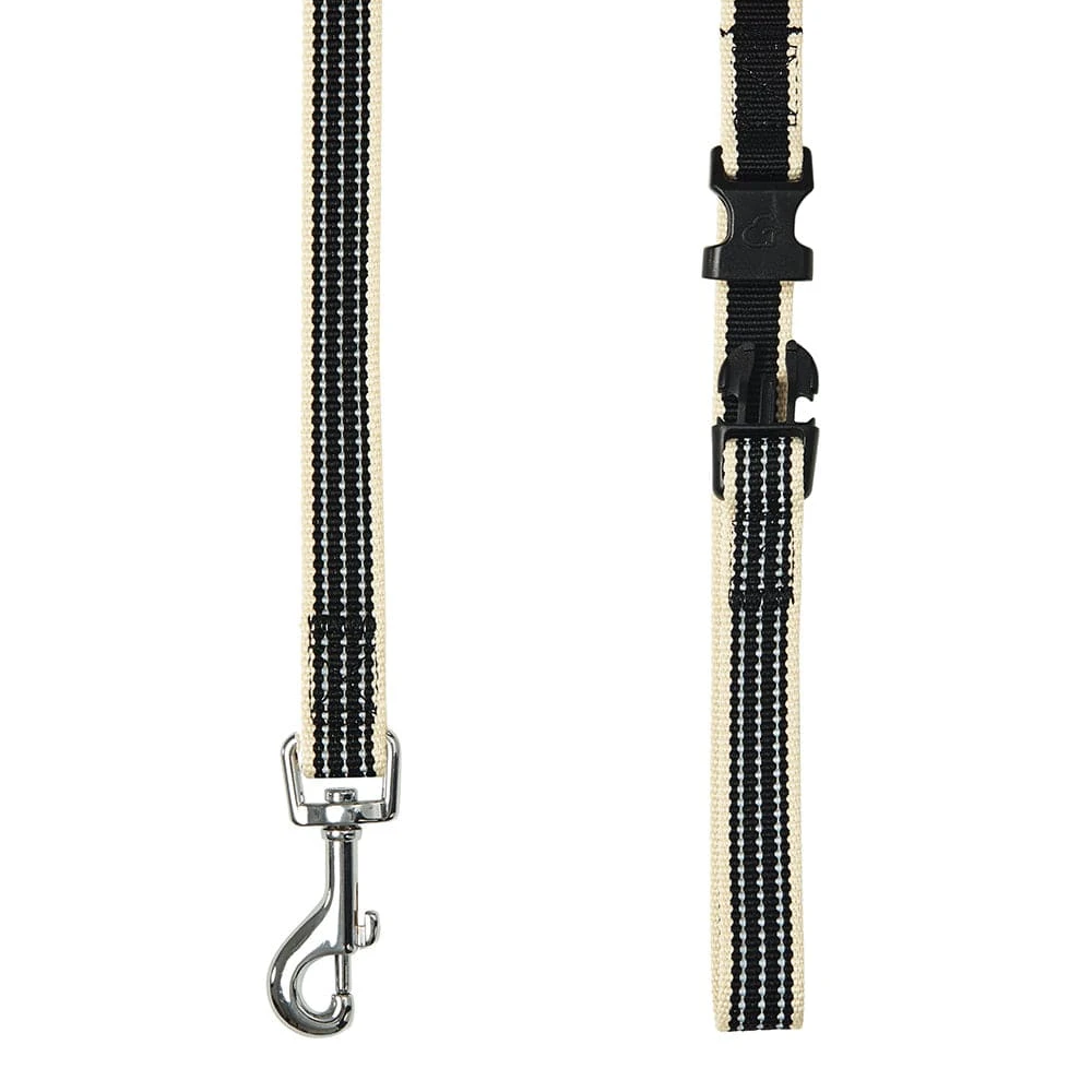Dogs & Cats & Co. In The Night Dog Leash For Safety 6 Dogs & Cats & Co. In The Night Dog Leash For Safety - Image 6