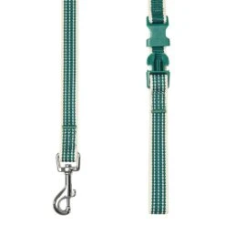 Dogs & Cats & Co. In The Night Dog Leash For Safety 23 Dogs & Cats & Co. In The Night Dog Leash For Safety -Dog & Cat Store 1050736044 3