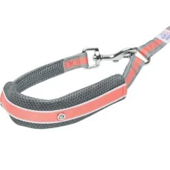 Dogs & Cats & Co.Comfort Of Class Dog Leash For Daily Walks -Dog & Cat Store 1050737041 2