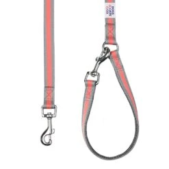 Dogs & Cats & Co.Comfort Of Class Dog Leash For Daily Walks -Dog & Cat Store 1050737041 4