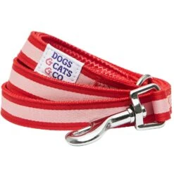 Dogs & Cats & Co.Comfort Of Class Dog Leash For Daily Walks