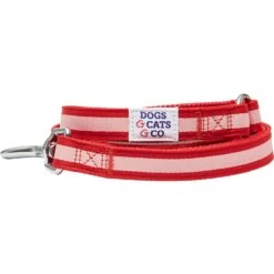 Dogs & Cats & Co.Comfort Of Class Dog Leash For Daily Walks -Dog & Cat Store 1050738048 3
