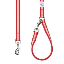 Dogs & Cats & Co.Comfort Of Class Dog Leash For Daily Walks -Dog & Cat Store 1050738048 4