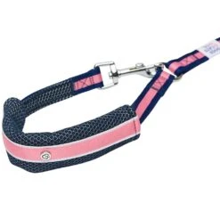 Dogs & Cats & Co.Comfort Of Class Dog Leash For Daily Walks -Dog & Cat Store 1050739045 2