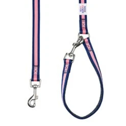 Dogs & Cats & Co.Comfort Of Class Dog Leash For Daily Walks -Dog & Cat Store 1050739045 4