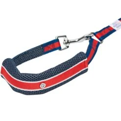 Dogs & Cats & Co.Comfort Of Class Dog Leash For Daily Walks -Dog & Cat Store 1050740041 2