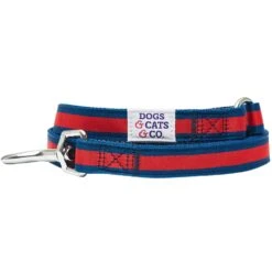 Dogs & Cats & Co.Comfort Of Class Dog Leash For Daily Walks -Dog & Cat Store 1050740041 3