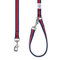 Dogs & Cats & Co.Comfort Of Class Dog Leash For Daily Walks -Dog & Cat Store 1050740041 4