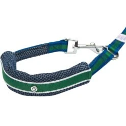Dogs & Cats & Co.Comfort Of Class Dog Leash For Daily Walks -Dog & Cat Store 1050741048 2