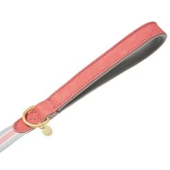 Dogs & Cats & Co. A La Mode Dog Leash For Stylish Pets 19 Dogs & Cats & Co. A La Mode Dog Leash For Stylish Pets -Dog & Cat Store 1050742069 2