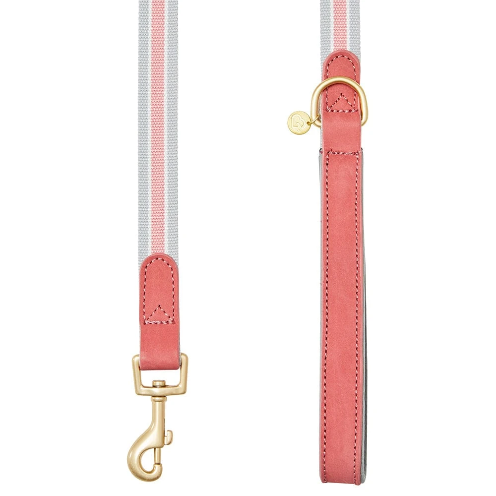 Dogs & Cats & Co. A La Mode Dog Leash For Stylish Pets 6 Dogs & Cats & Co. A La Mode Dog Leash For Stylish Pets - Image 6