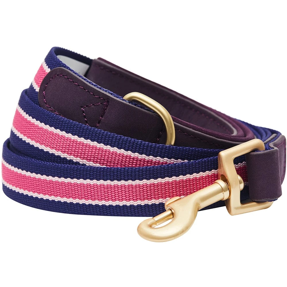 Dogs & Cats & Co. A La Mode Dog Leash For Stylish Pets 7 Dogs & Cats & Co. A La Mode Dog Leash For Stylish Pets - Image 7