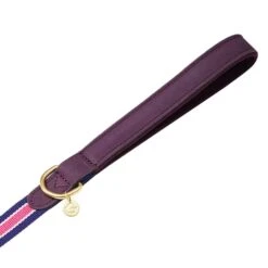 Dogs & Cats & Co. A La Mode Dog Leash For Stylish Pets 22 Dogs & Cats & Co. A La Mode Dog Leash For Stylish Pets -Dog & Cat Store 1050743066 2