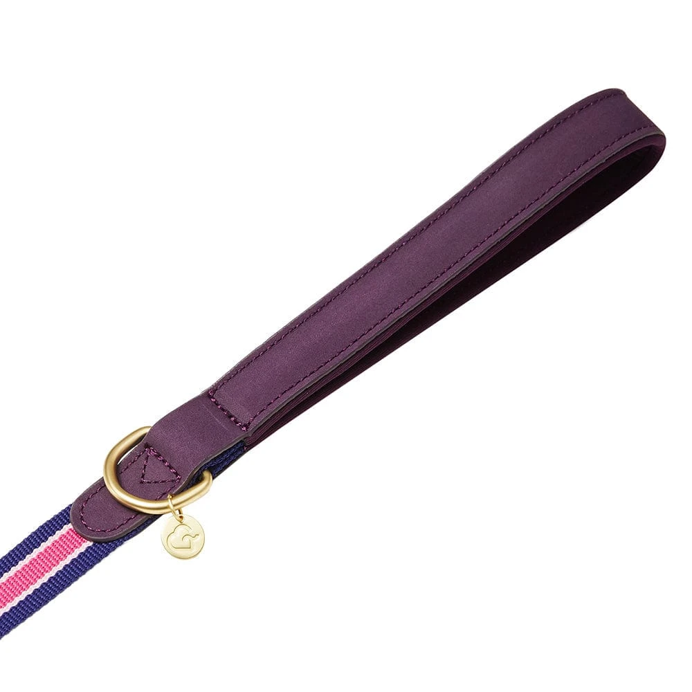 Dogs & Cats & Co. A La Mode Dog Leash For Stylish Pets 8 Dogs & Cats & Co. A La Mode Dog Leash For Stylish Pets - Image 8
