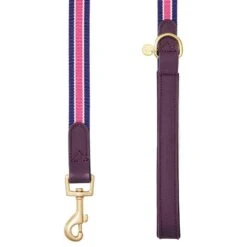 Dogs & Cats & Co. A La Mode Dog Leash For Stylish Pets 23 Dogs & Cats & Co. A La Mode Dog Leash For Stylish Pets -Dog & Cat Store 1050743066 3