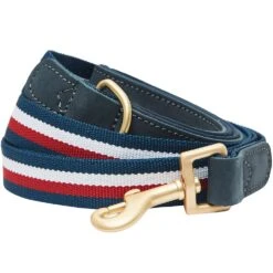 Dogs & Cats & Co. A La Mode Dog Leash For Stylish Pets 24 Dogs & Cats & Co. A La Mode Dog Leash For Stylish Pets -Dog & Cat Store 1050744063 1