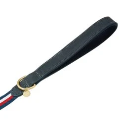 Dogs & Cats & Co. A La Mode Dog Leash For Stylish Pets 25 Dogs & Cats & Co. A La Mode Dog Leash For Stylish Pets -Dog & Cat Store 1050744063 2