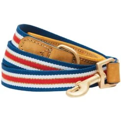 Dogs & Cats & Co. A La Mode Dog Leash For Stylish Pets