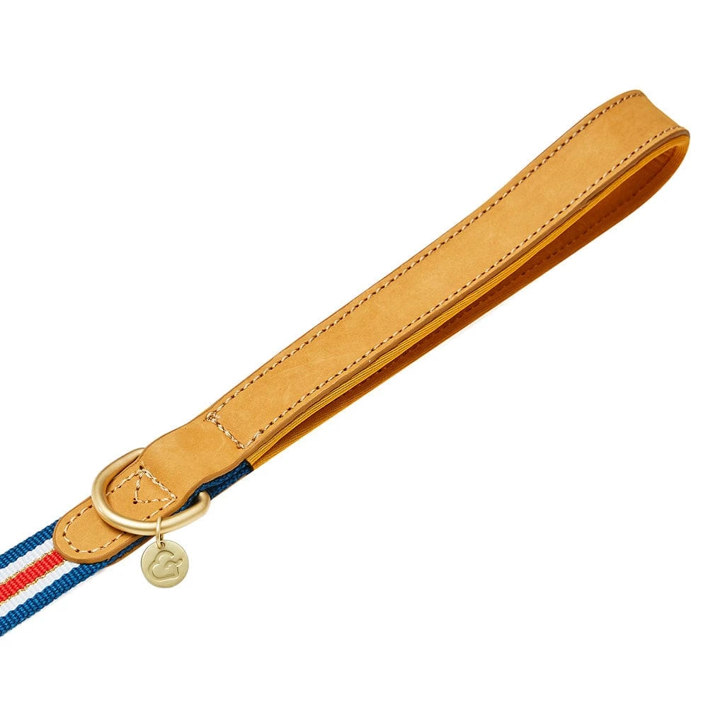 Dogs & Cats & Co. A La Mode Dog Leash For Stylish Pets 2 Dogs & Cats & Co. A La Mode Dog Leash For Stylish Pets - Image 2